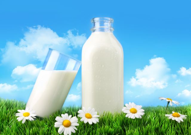 Bottle and glass of milk with grass, daisies and sky